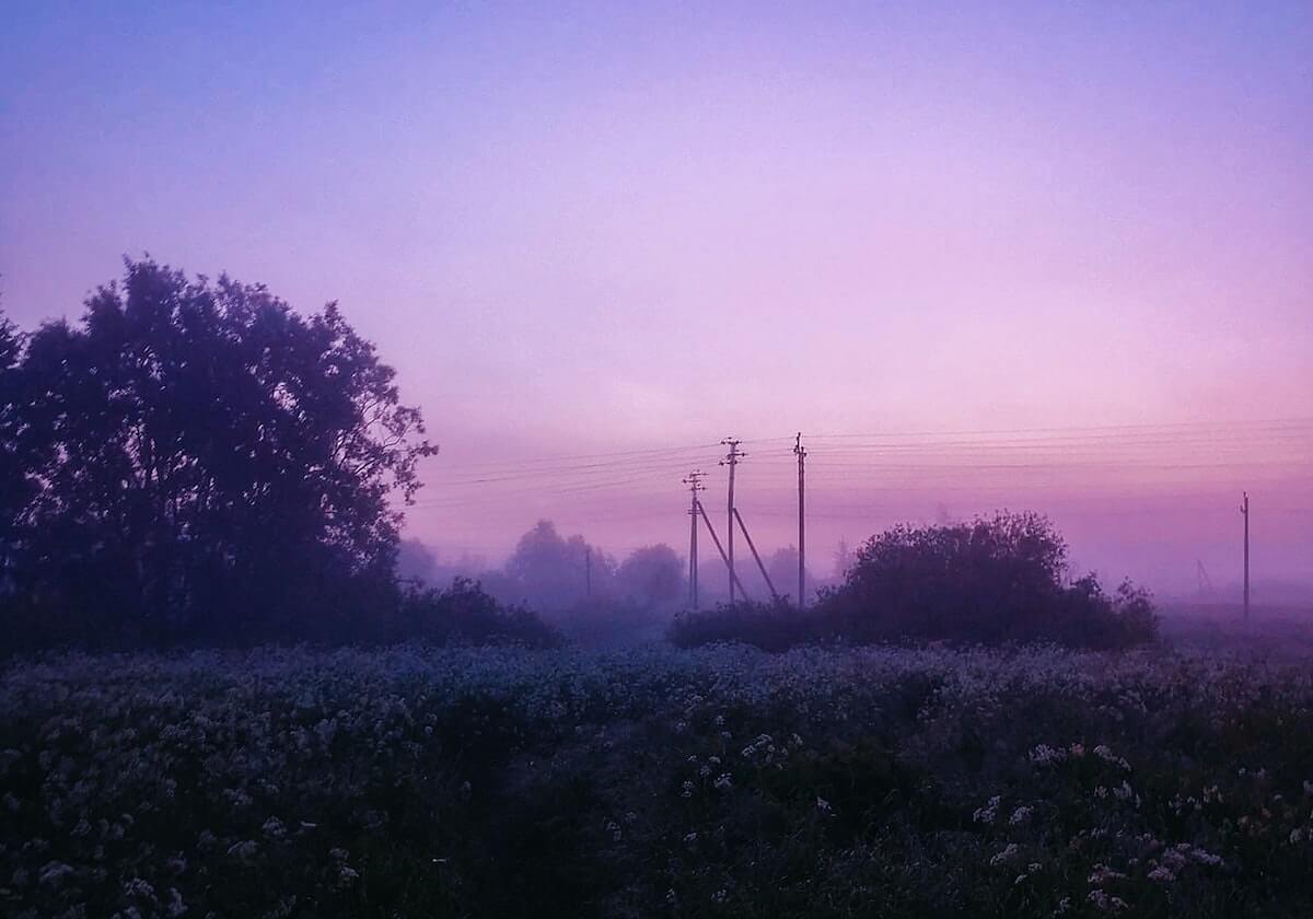 推特一页讲义：主题镜头选择带来什么偏向，做法把结论降到“可能”